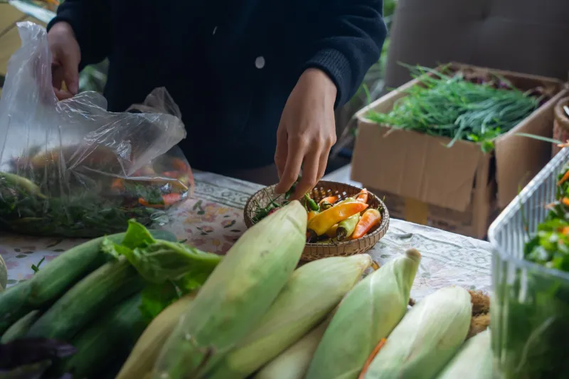 The 11 Sacred Commandments of the Farmers Market Regular: A Forensic Taxonomy of America's Most Sanctimonious Square Footage